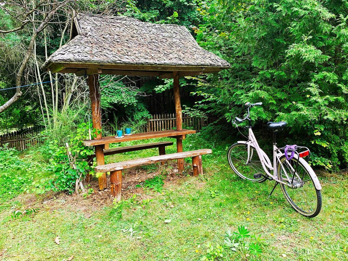Az Pod Las Zbiczno ภายนอก รูปภาพ
