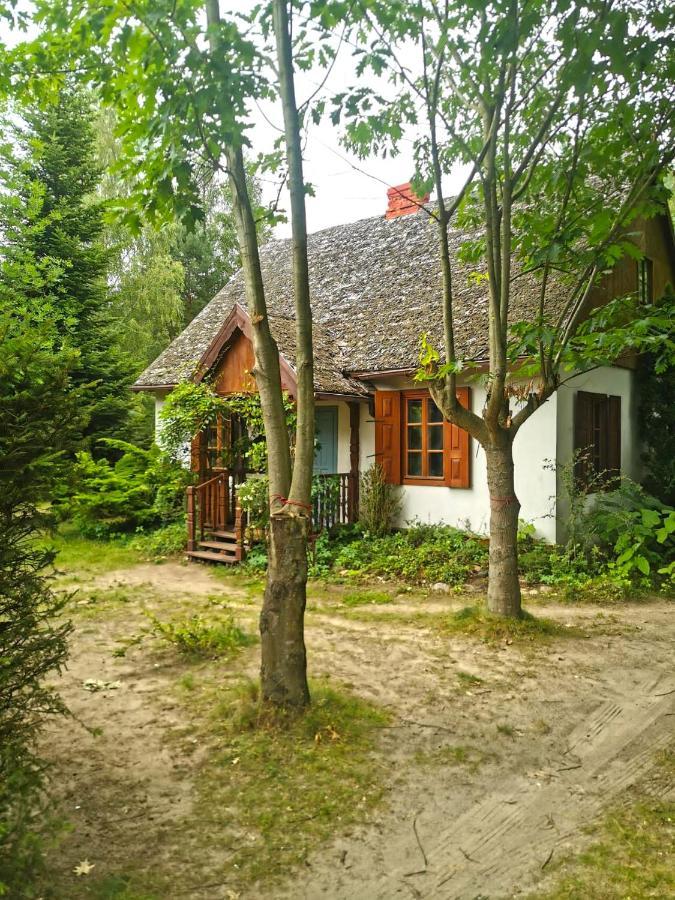 Az Pod Las Zbiczno ภายนอก รูปภาพ
